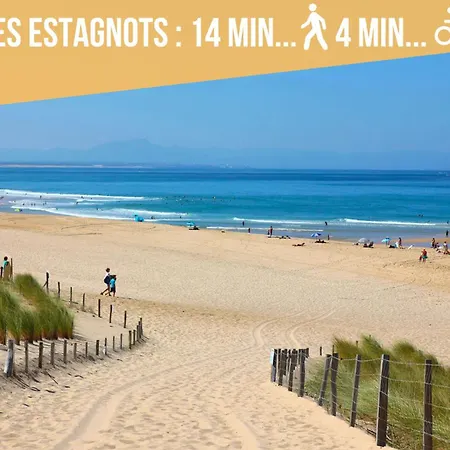 - Foret - - Ocean - Couple - Surf Apartamento Seignosse