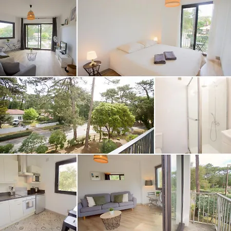 - Foret - - Ocean - Couple - Surf Apartamento Seignosse